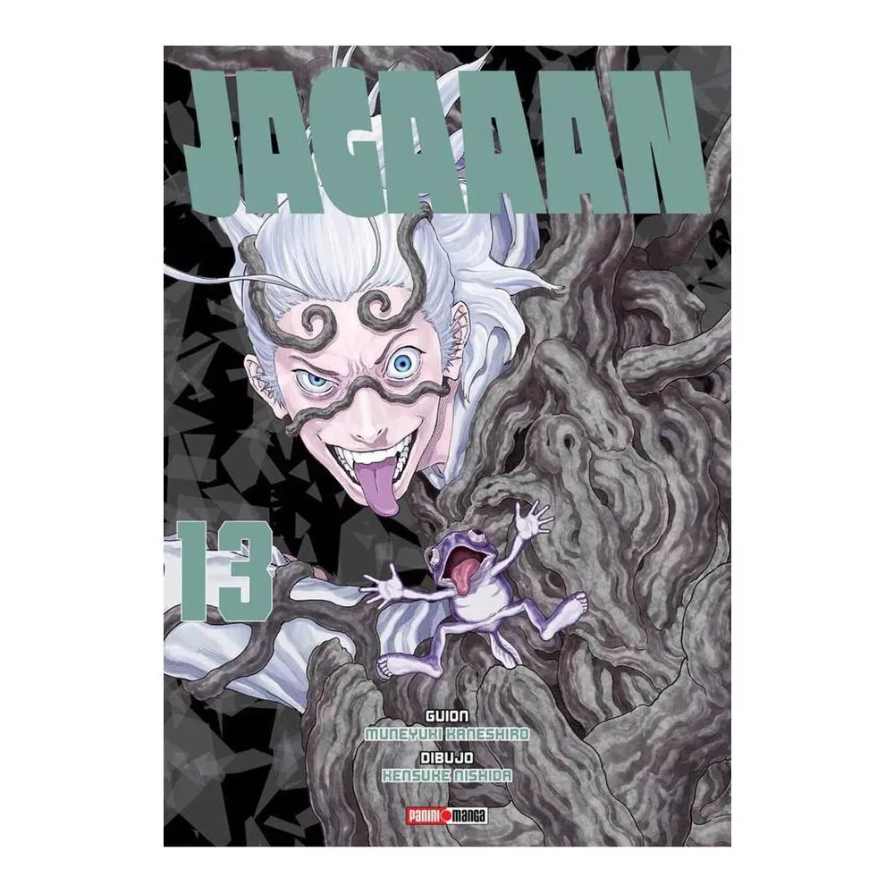 JAGAAAN N.13